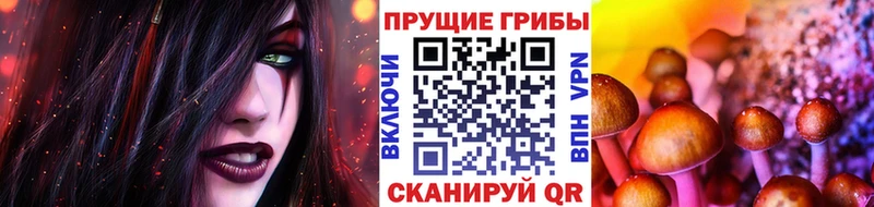 Купить закладки  Плёс  Галлюциногенные грибы мухоморы 