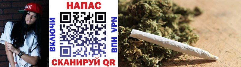 Купить где  Плёс  Бошки марихуана Ganja 